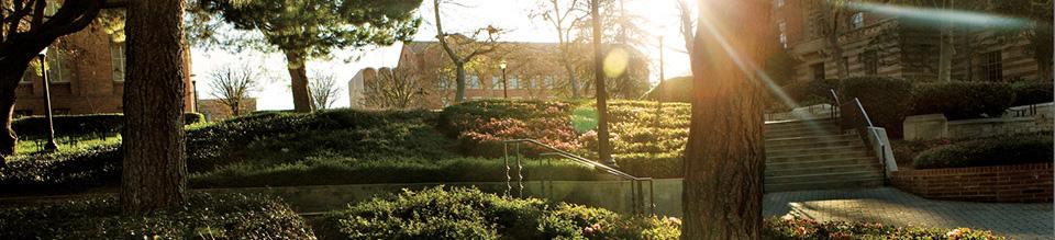 Sunrise over Bruin Walk